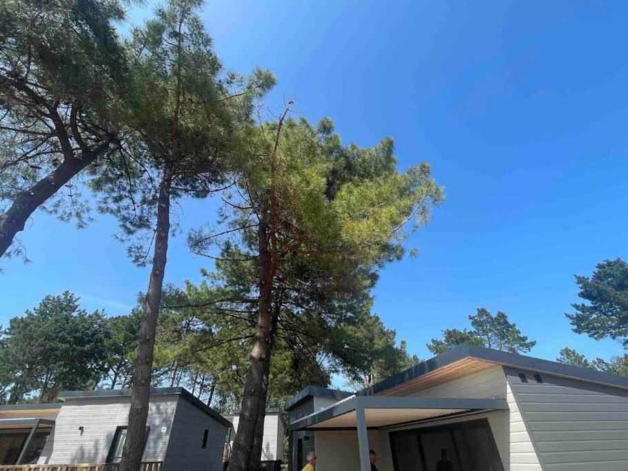 Cottage Dans Parc Residentiel De Loisirs, Piscine, 150M De La Mer Jullouville-les-Pins Exterior foto